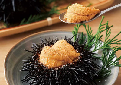 Sea urchin “uni”