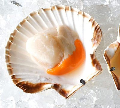 Scallop “roe”